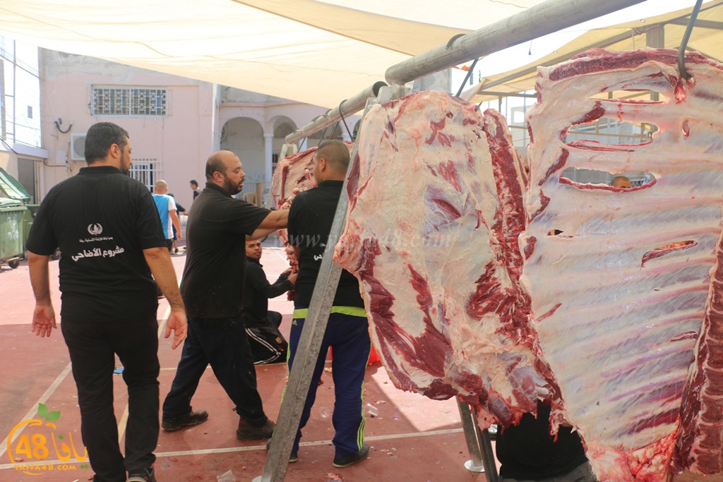 ada7y forthei (118).JPG